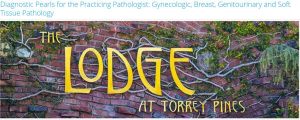 Diagnostic Pearls for the Practicing Pathologist Gynecologic, Breast, Genitourinary and Soft Tissue Pathology 2025
