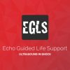 ECHO-Guided Life Support Using ultrasound to categorise shock and guide initial management