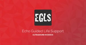 ECHO-Guided Life Support Using ultrasound to categorise shock and guide initial management