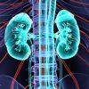 Mayo Clinic Nephrology and Transplantation for the Clinician 2022 (Videos+Assessment Quiz)