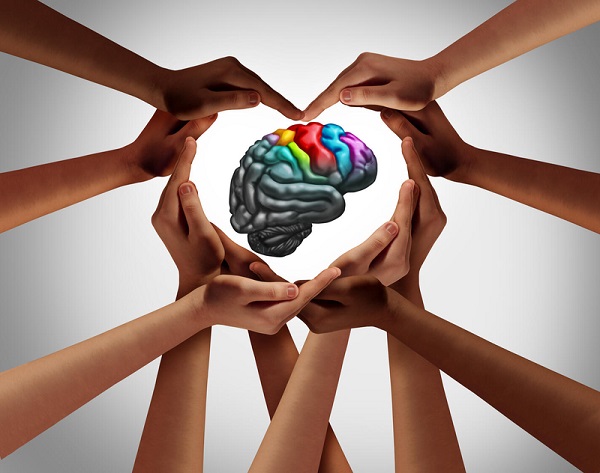 Mayo Clinic Neurology In Clinical Practice Online Course 2023 (Videos + Slides + Quiz)