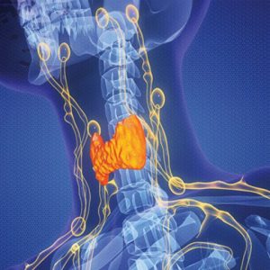 The Brigham Board Review and Comprehensive Update Endocrinology 2025 (Videos + Slides PDFs)